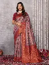 SAR361_1.webp